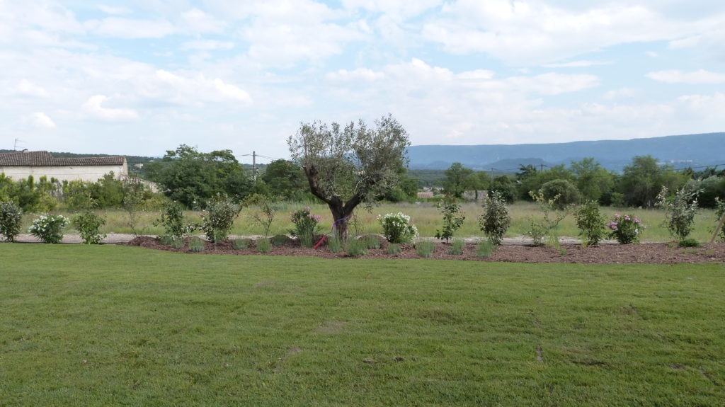 plantation haie mixte