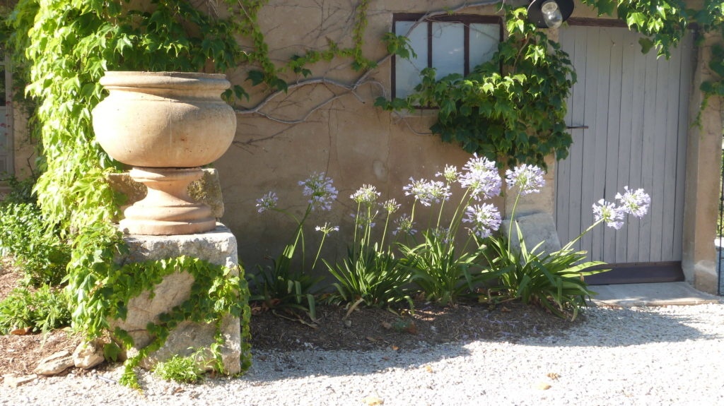 Oppede-jardin-luberon